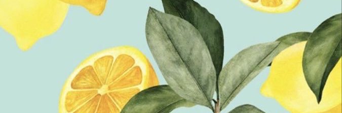 julia_hhoss's profile banner image