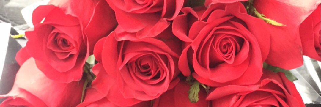 FleaBabyyy's profile banner image