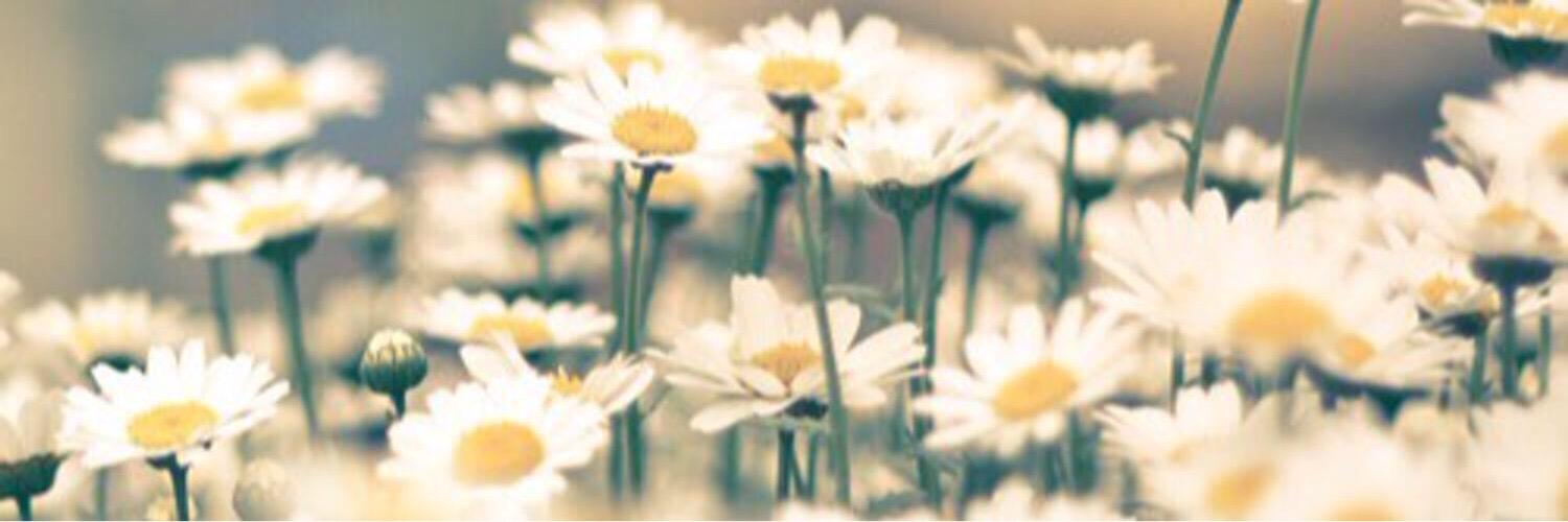 passandotemp0's profile banner image
