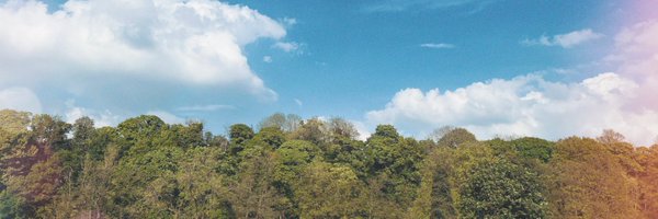 birkham_ Profile Banner