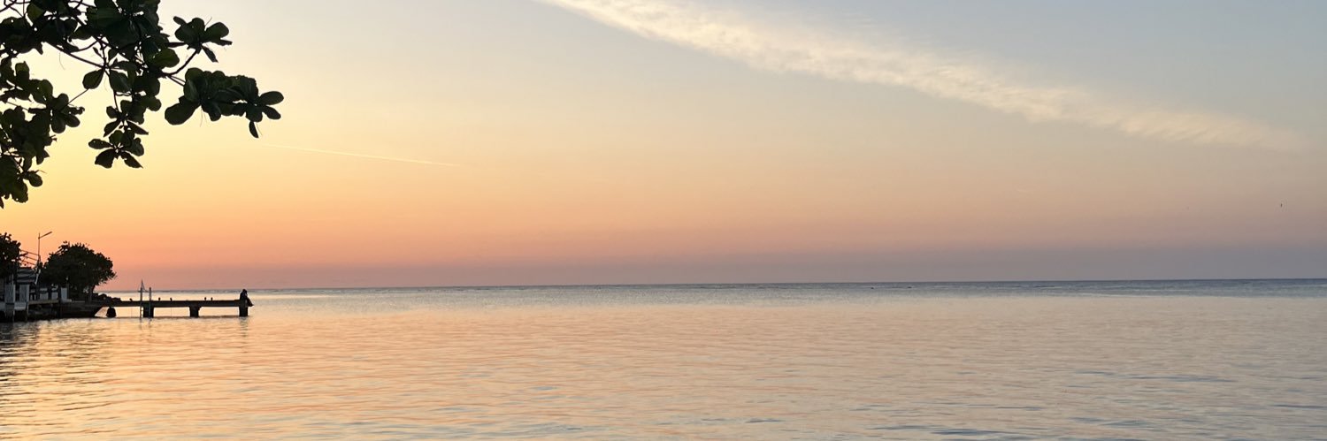manmilau's profile banner image