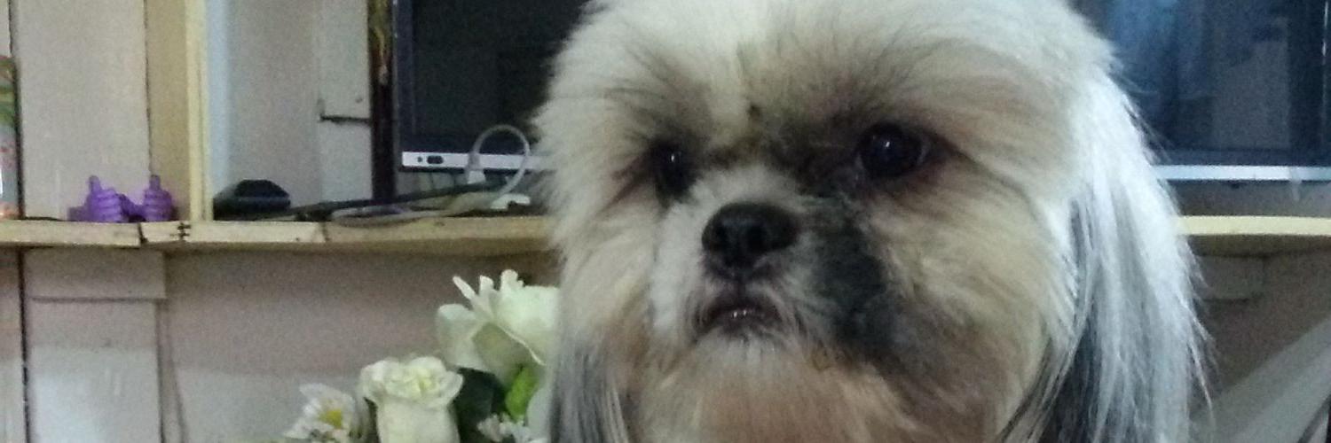 ColinCuttie's profile banner image