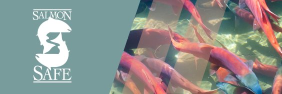 Salmon-Safe B.C. banner