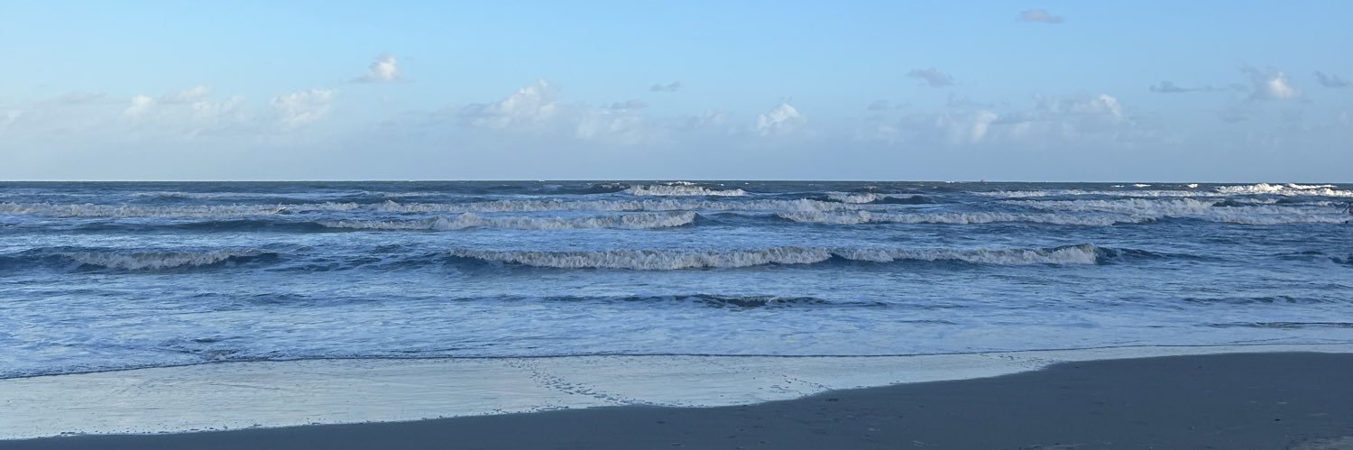 MariC_Borges's profile banner image