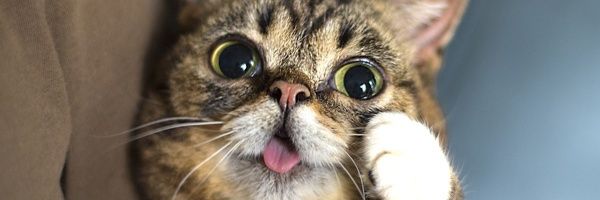 cesar_ajche's profile banner image