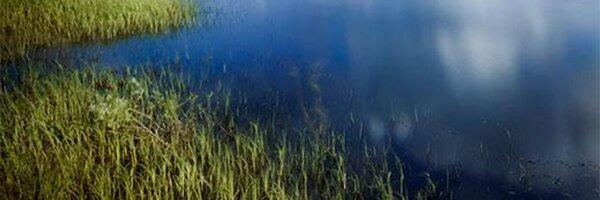 Leopold_US Profile Banner