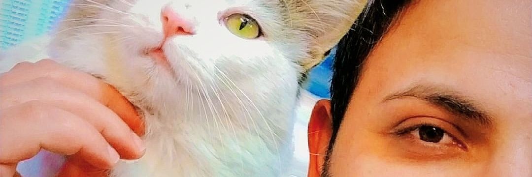 FhmYnz's profile banner image