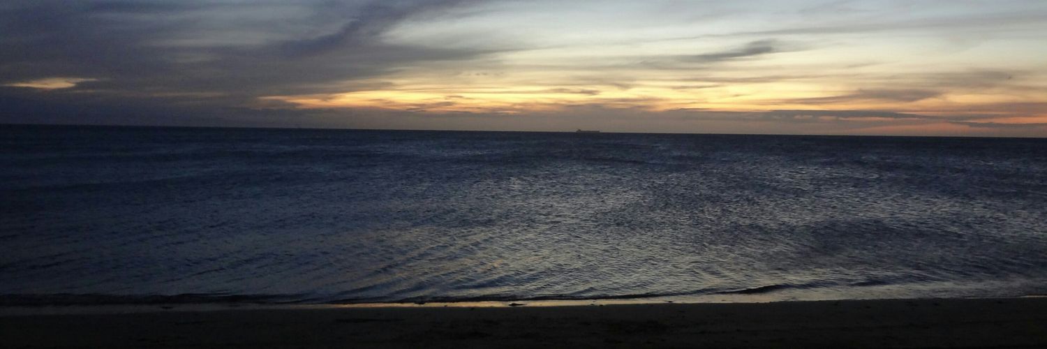 malongip's profile banner image