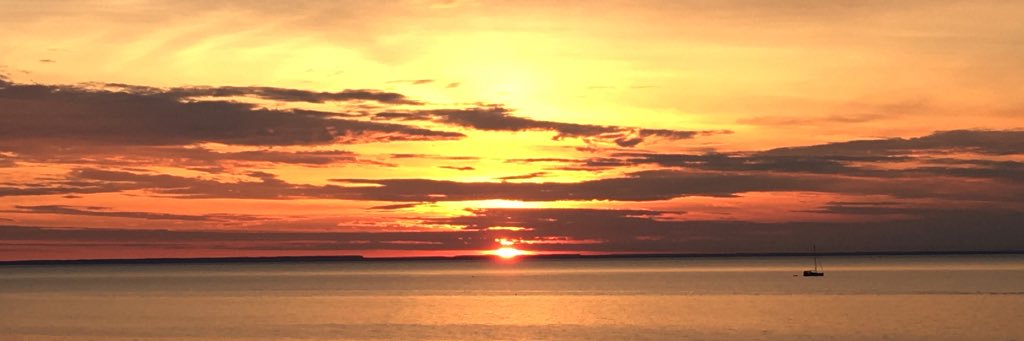 Mary Jane Johnson banner