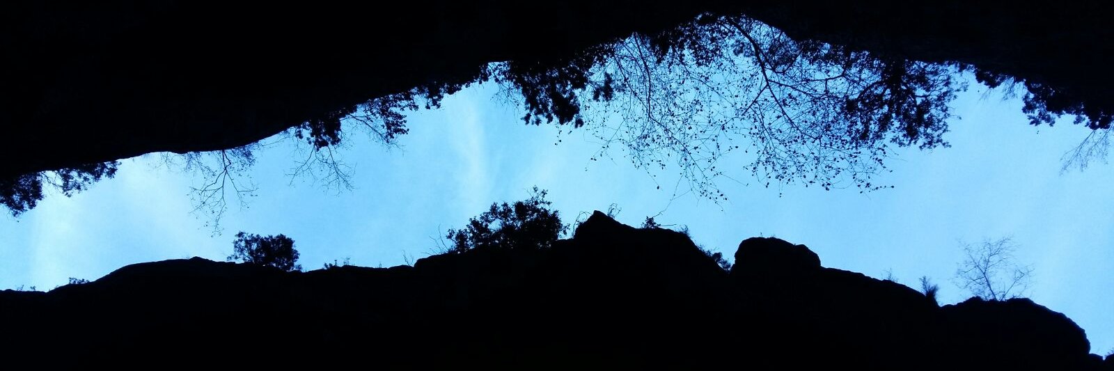 ines_sese's profile banner image