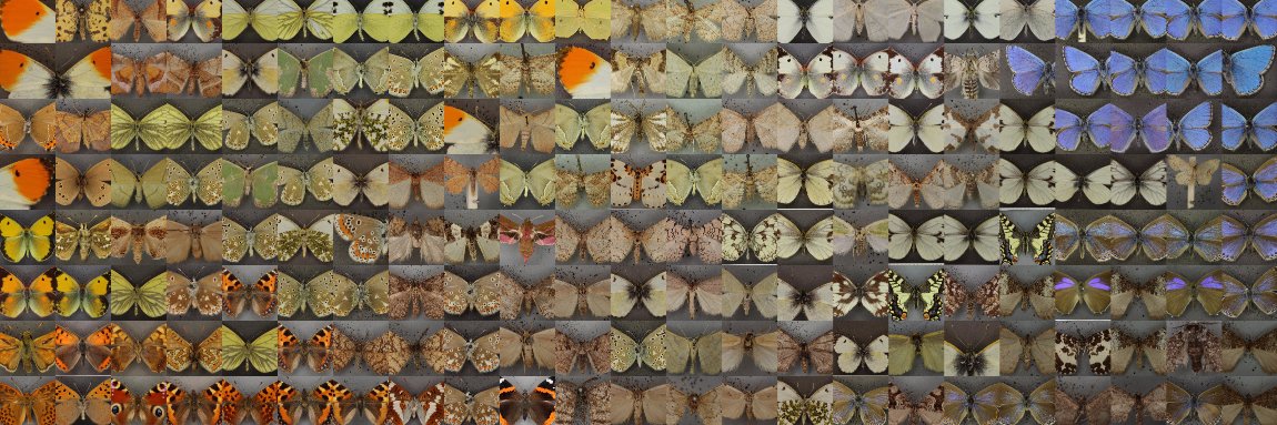 NHM_Digitise's profile banner image