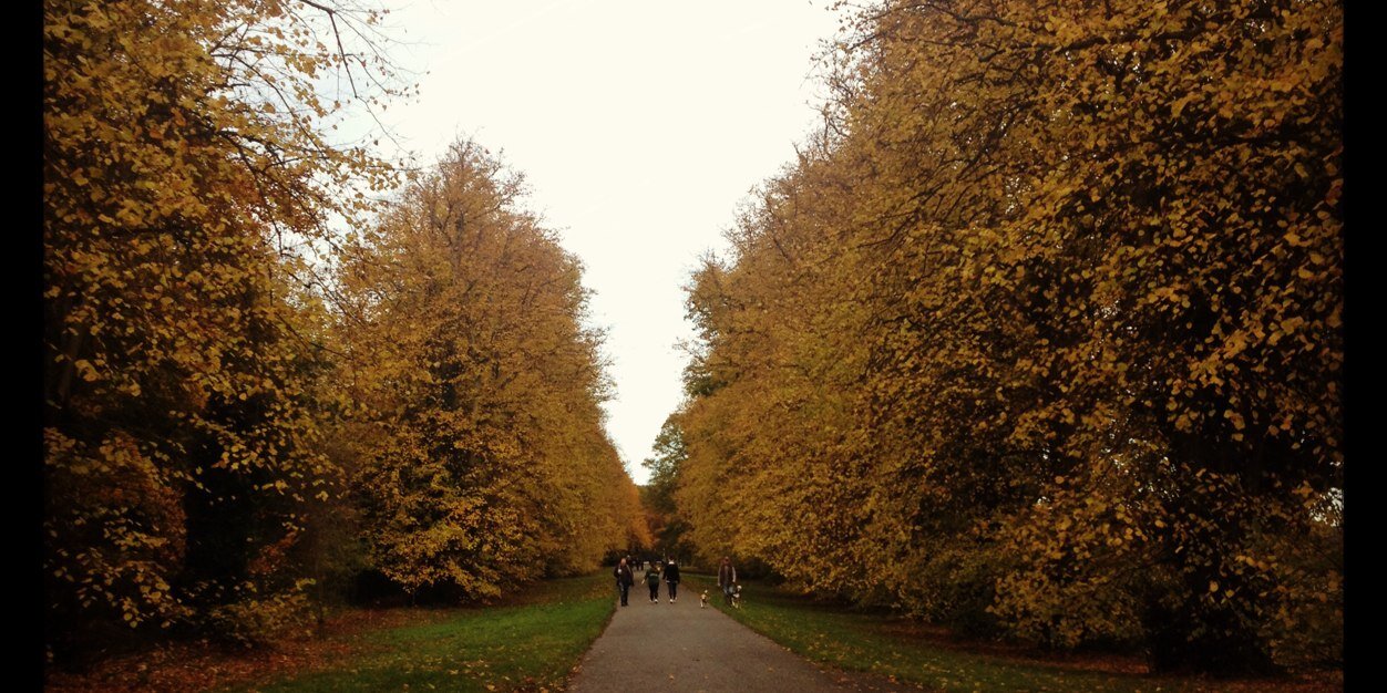 Rachel_Dwyer's profile banner image