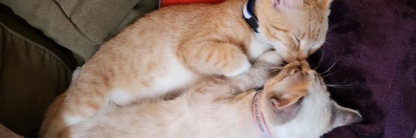 SmokeOffTrack Profile Banner