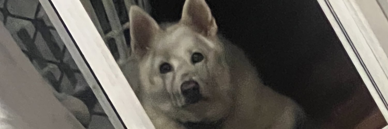 vivrustyy's profile banner image