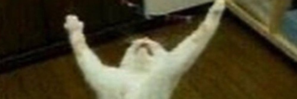 unknown2oo1's profile banner image