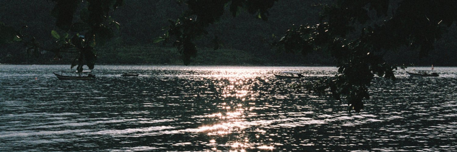 pialava_'s profile banner image