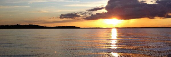 petva85 Profile Banner