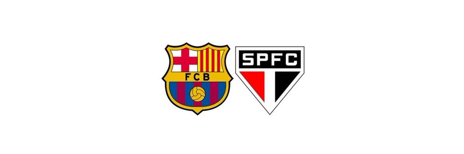 v_bertini11's profile banner image