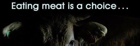 AnimalAbuseExposedⓋ banner