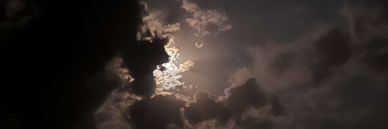 Shoooshoo11's profile banner image