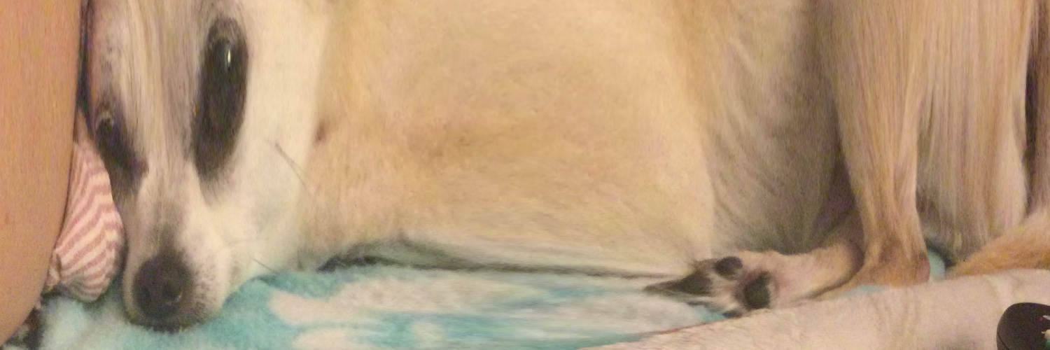heyychelss's profile banner image