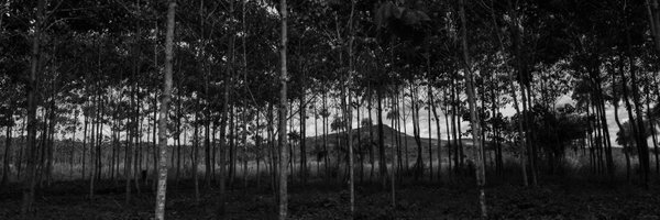 aquartey_ Profile Banner
