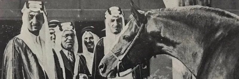 🇸🇦Saud banner