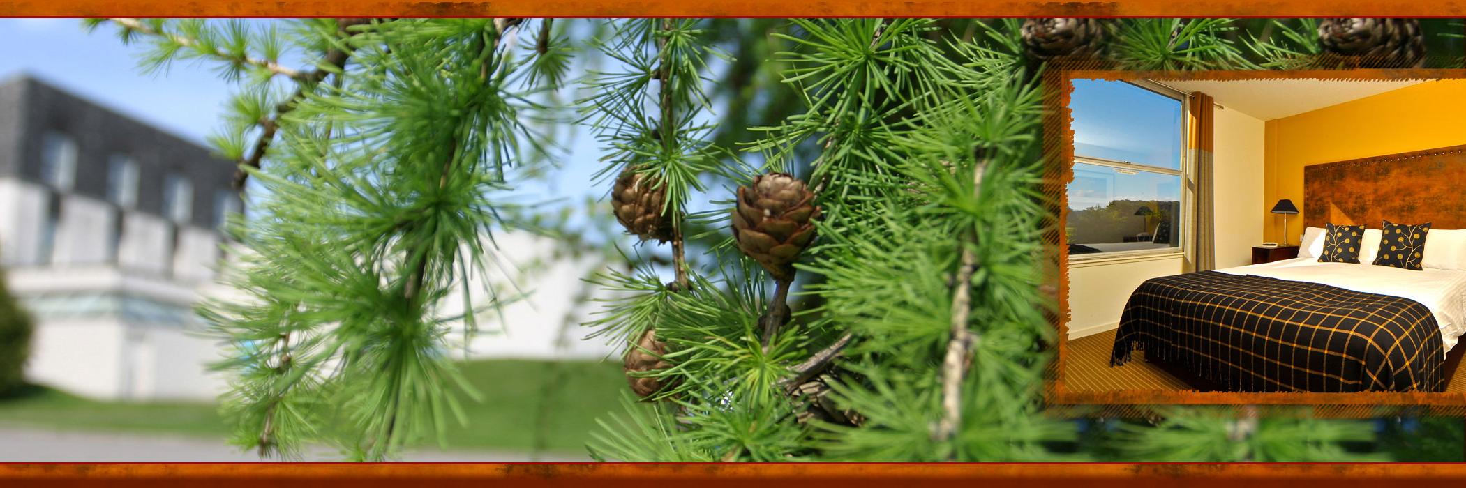 eight_acres's profile banner image