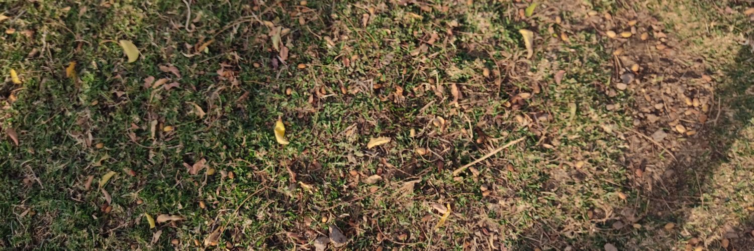 playeSZN's profile banner image