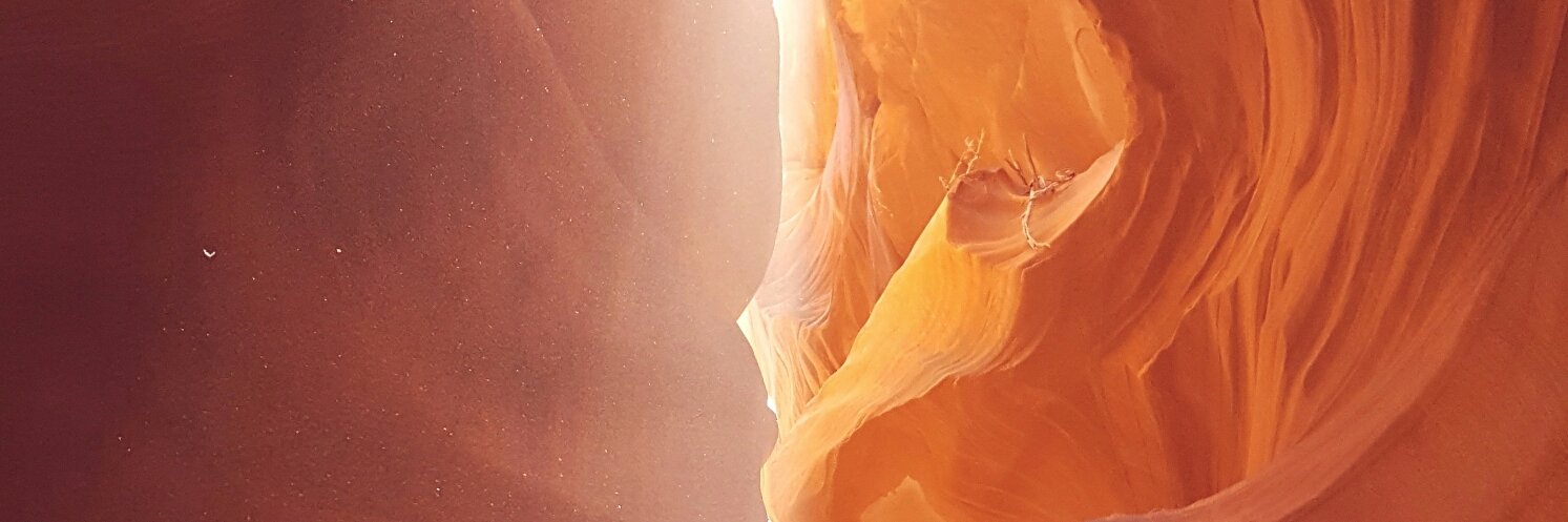 NathanOyster's profile banner image
