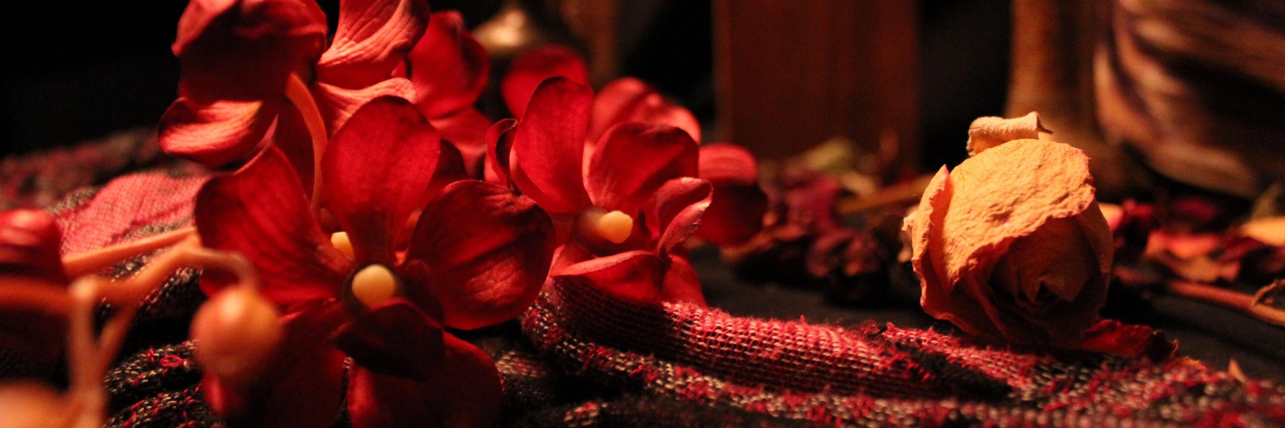 EuniLed's profile banner image
