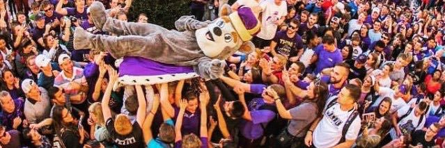 timstryk's profile banner image
