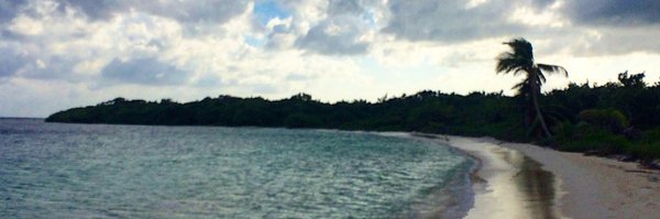 MSAatBU Profile Banner