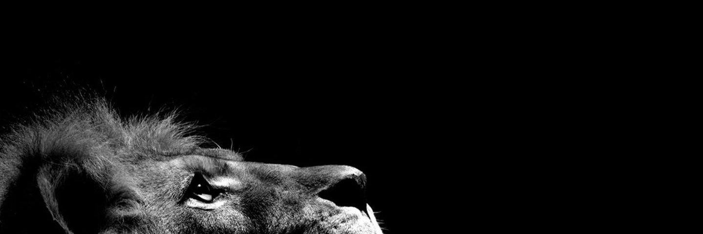 ephremkimp's profile banner image