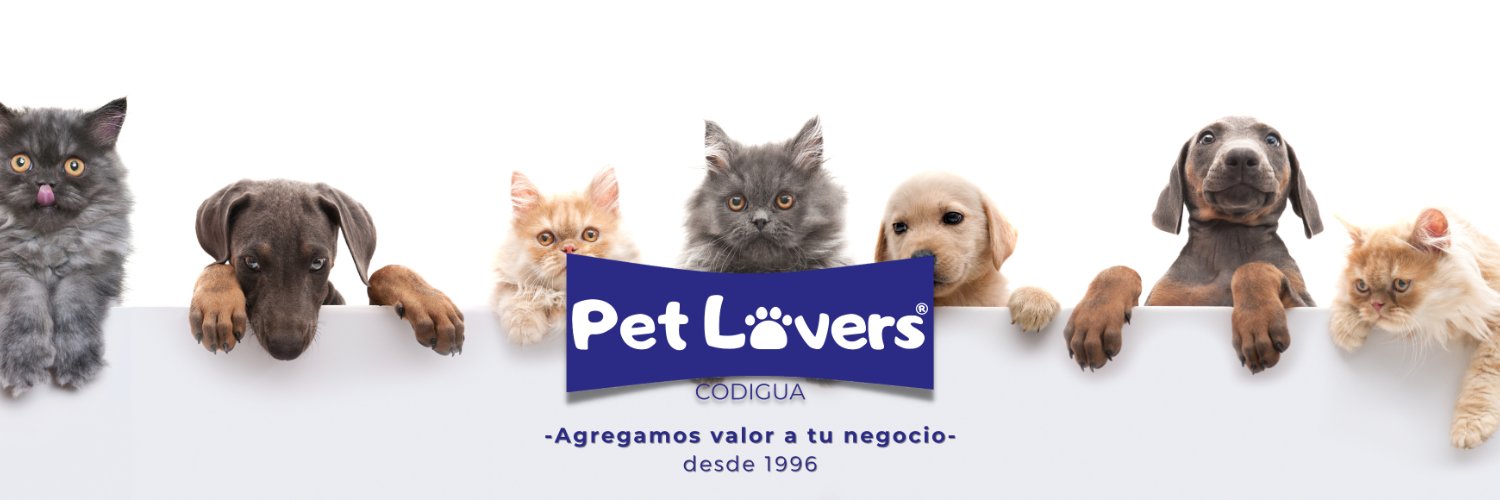 CodiguaPetLover's profile banner image