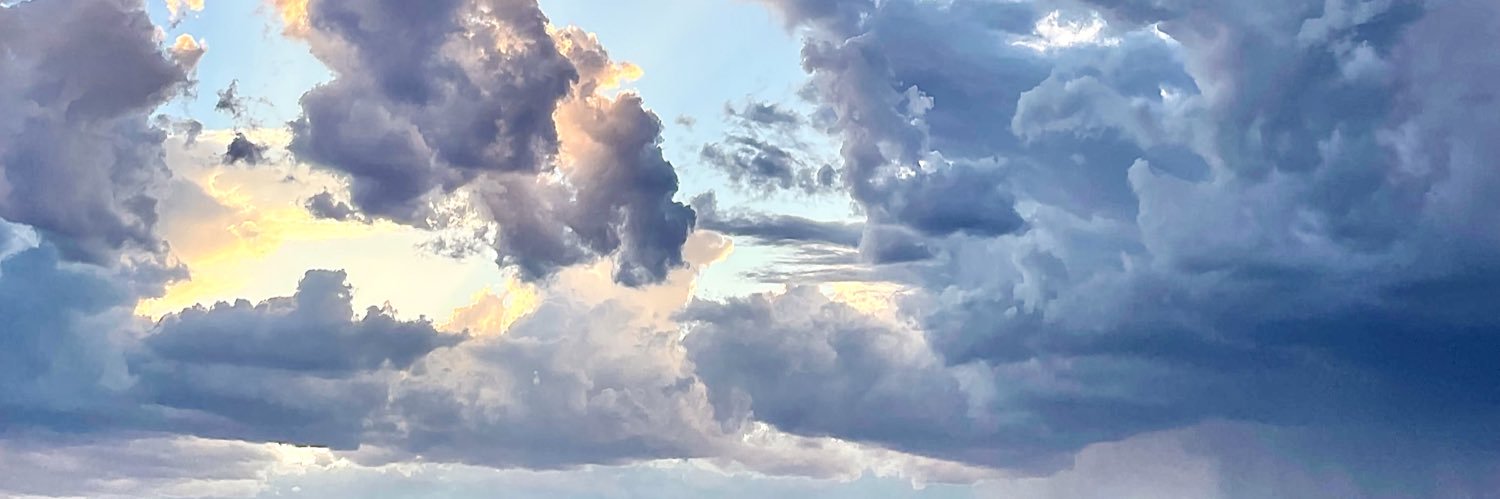 MichelleErc's profile banner image
