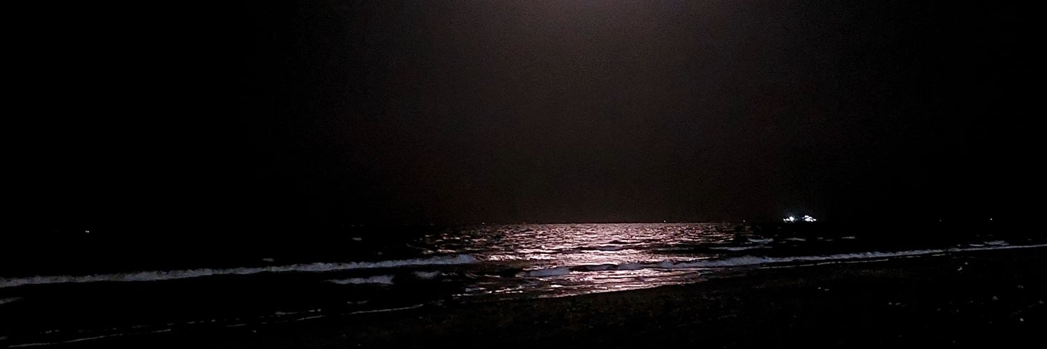 elprolosy's profile banner image