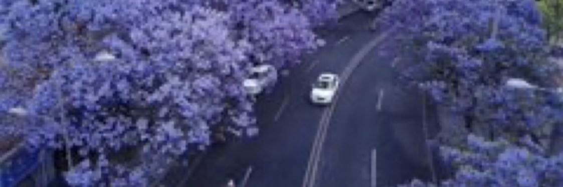 كويتيه 🇰🇼 banner