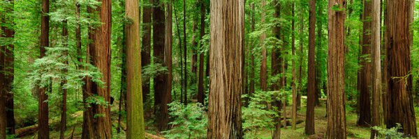 johnhusby Profile Banner