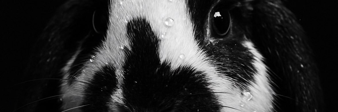 emadstr's profile banner image