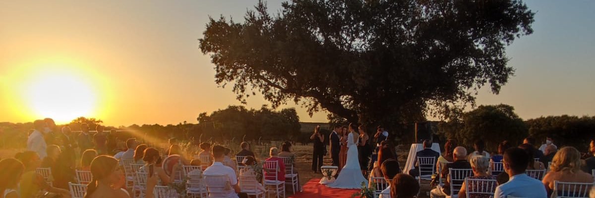 JaviSsanchezz's profile banner image