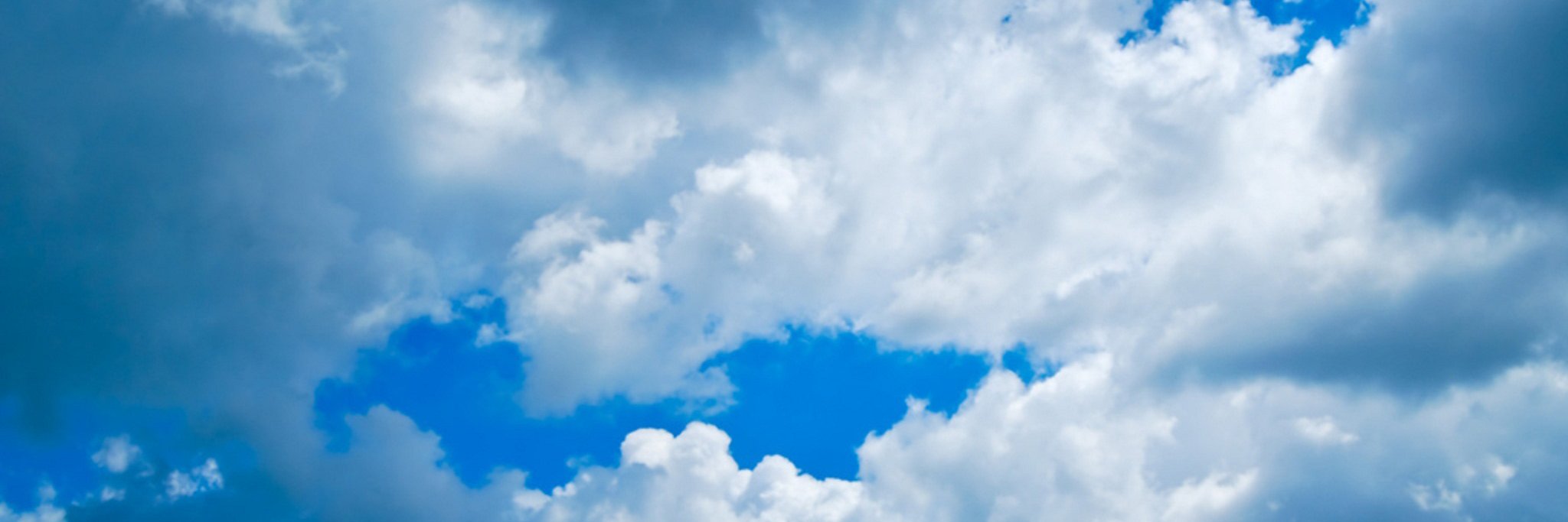 Michael D. Elder banner