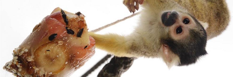 BerdnikMadam's profile banner image