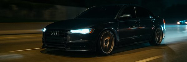 sengstork Profile Banner