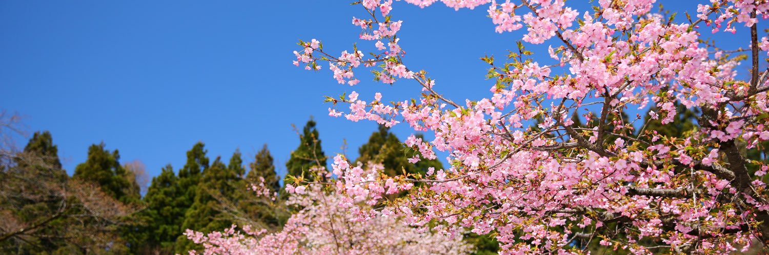 kiy1223's profile banner image