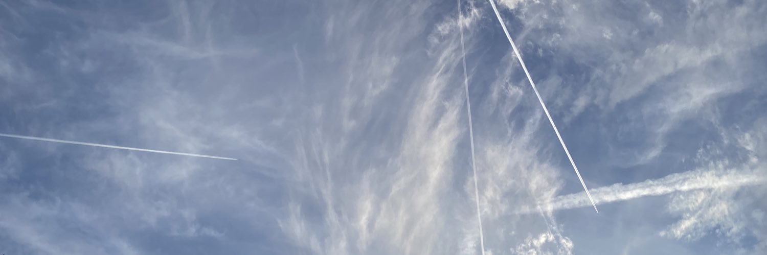 Danny🇻🇦 banner