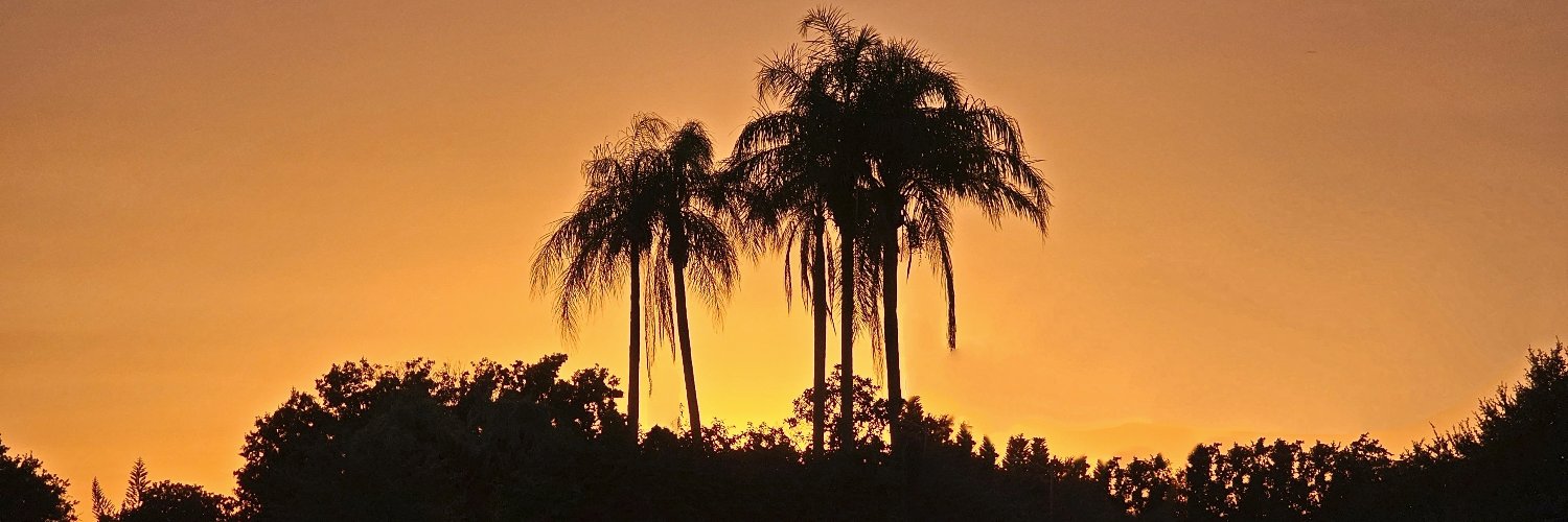 Derek Drudge 🇺🇲 banner