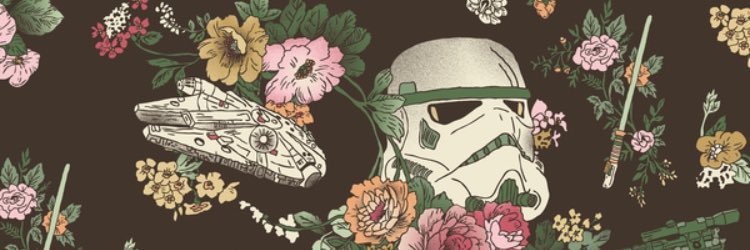 EricaAnastasi's profile banner image