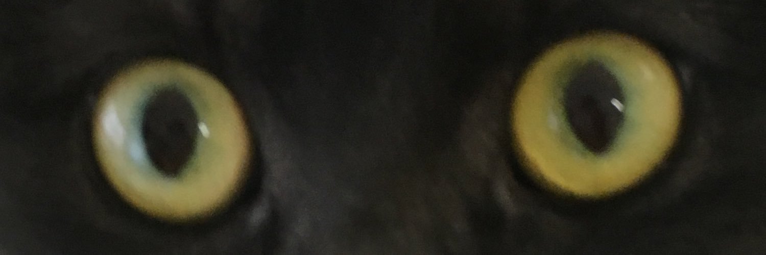 Show90151024's profile banner image