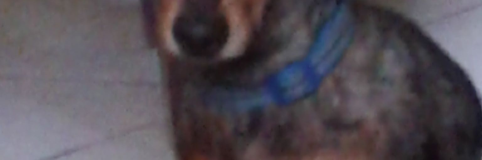 lan011800's profile banner image